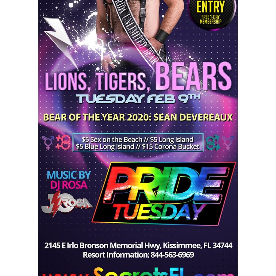 Lions, Tigers, and BEARS - Pride Tuesday