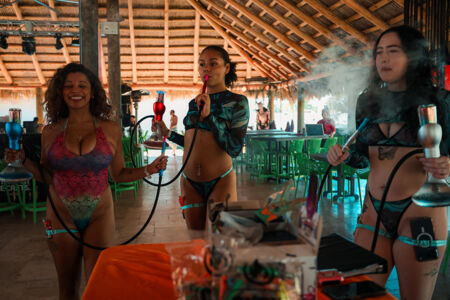 Hallowsweet Icandy 24