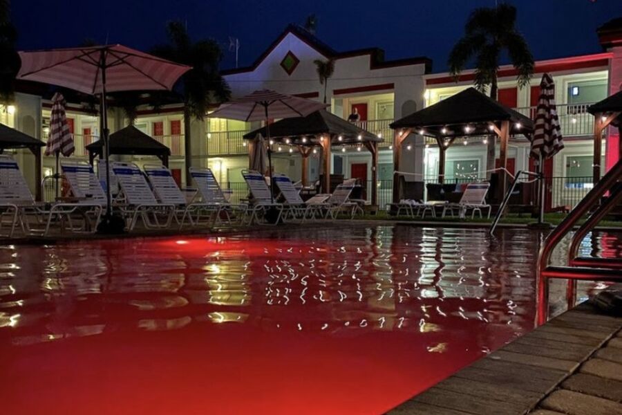 Celebrating 11 Years 