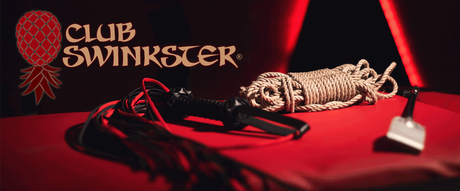 club swinkster male female alternative lifestyle outfits